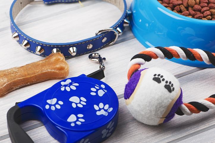 acessorios_para_cachorro_guia_completo_23388_orig